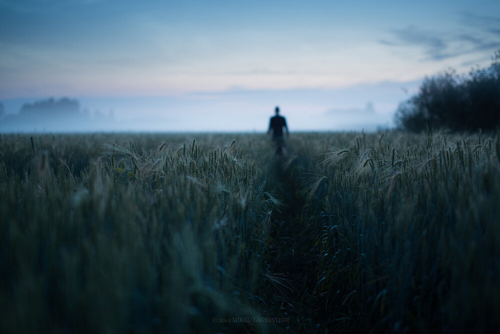 Mikko Lagerstedt