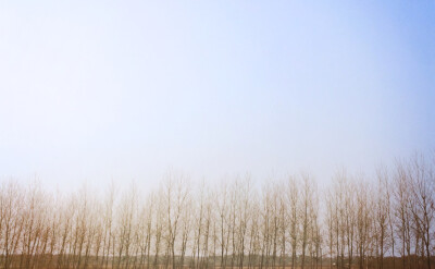 乡村 空