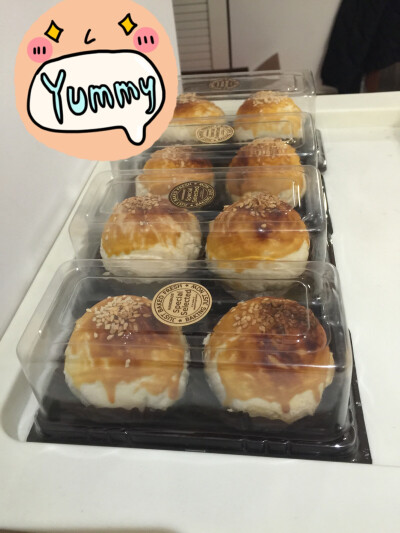 张小喵手作 美味蛋黄酥