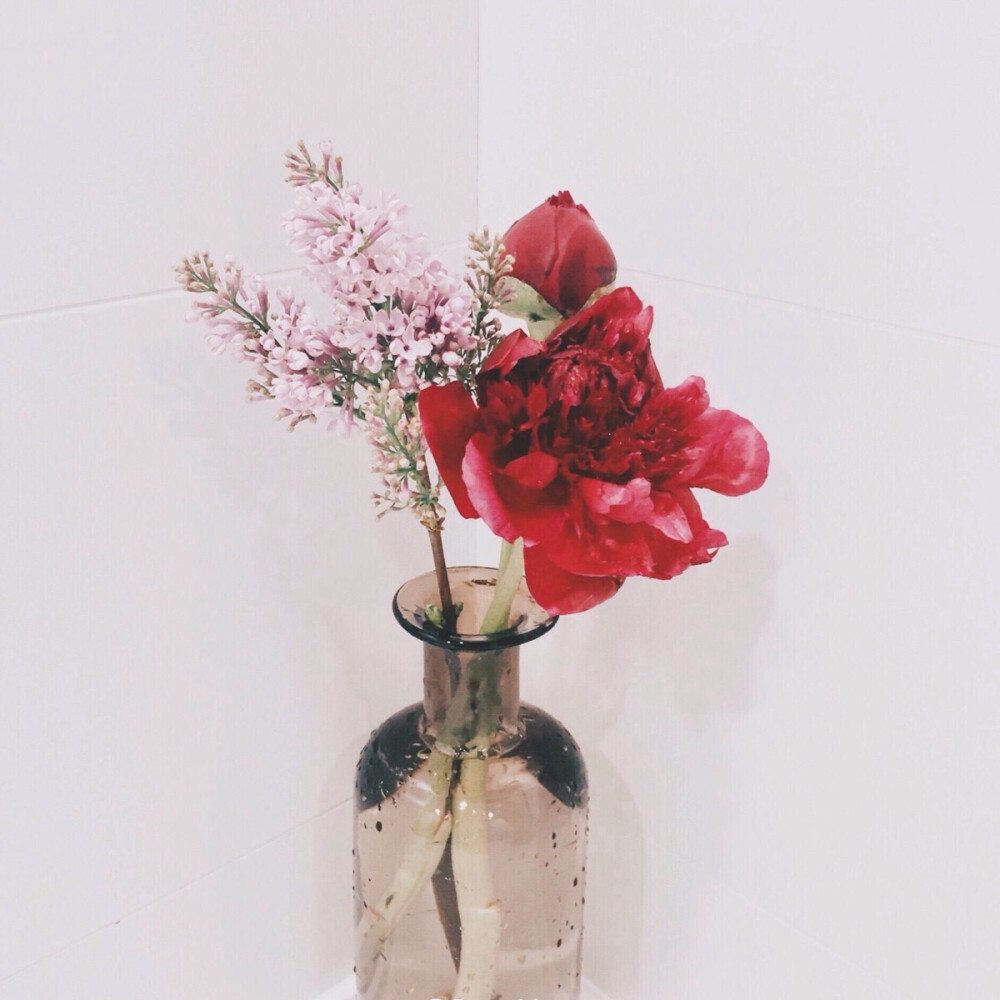 【蔷薇】它的花语代表爱情和爱的思念。盛开的蔷薇给予人对爱情的憧憬，然而爱情不只是一场美丽的梦，花虽然会凋谢，心中的最爱却永不凋零，蔷薇就是恋的起始、爱的誓约。 