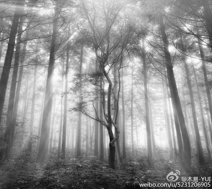 雨丝连成线，牵出几世缘，回眸有多远，指间已过千年。少年油纸伞，坊外断桥边，春秋冬夏情未变。悠悠岁月吹浮花，长袖拂过眉宇间，碧蓝湖水映入谁的眼帘，爱恨情仇总难掩。望那边，那云那水那金山，苦海对镜青白剑，尘世缘，有情有义有同船隔不断，修得千年方才画出月儿圆……