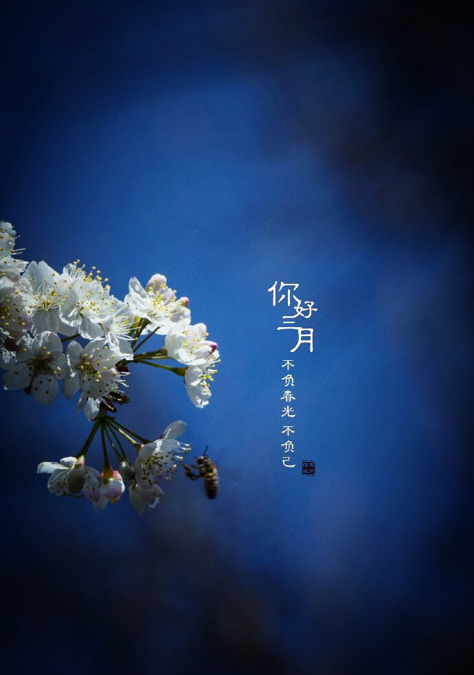 Hello,March.你好，三月。壁纸 插画 素材 唯美 拍摄 文字