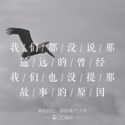 【音乐是解药】薛凯琪《复刻回忆》歌词.文字壁纸.手机壁纸.聊天背景.