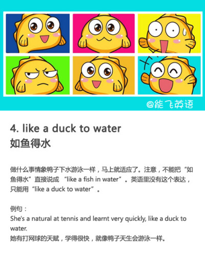 【动物英语习语】like a duck to water 如鱼得水