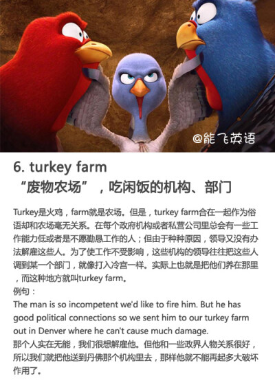 【动物英语习语】turkey farm “废物农场”，吃闲饭的机构、部门