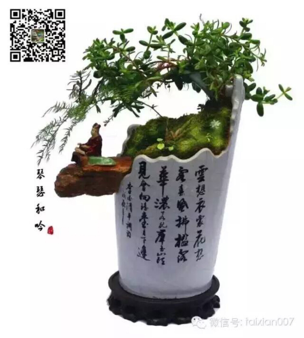 苔藓盆栽