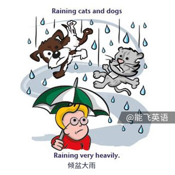 【English Idioms: The Weather 关于天气的英语习语】raining cats and dogs 倾盆大雨