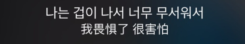 新萌上的歌！歌词截图