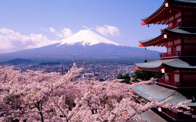 樱花富士山