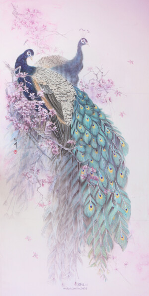 +长相依III+  孔雀 手绘 工笔 封面 弦川