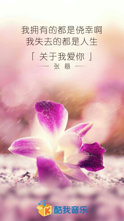 张悬《关于我爱你》