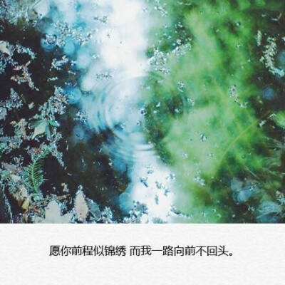 愿你前程似锦，我不在
