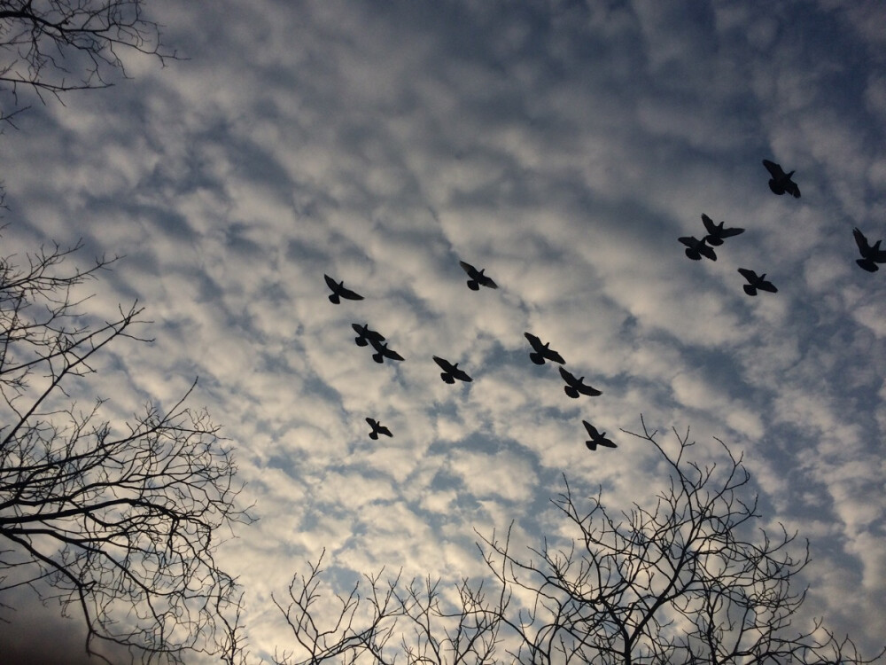 放学(σﾟ∀ﾟ)σ