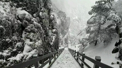 轿子雪山