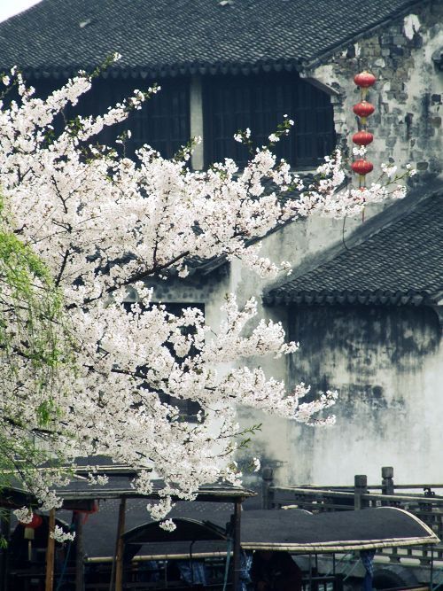 江南春 暮春散，榴红忆初桃。雨霁伯燕纷飞左，攀柳宜应曾相邀，有子唤瑶瑶 