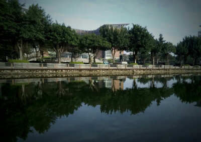 星雨湖与图书馆 来自 张小篱儿