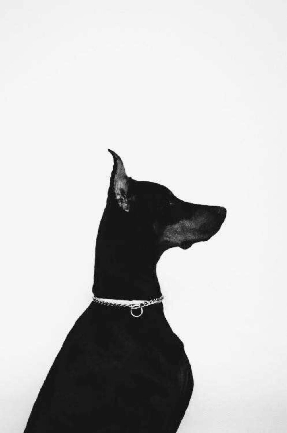 欧美™✔韩国™✔小清新™✔森系™✔颓废™✔黑白™✔英伦™✔潮流™✔复古™✔街拍™✔时尚™✔纹身™✔卡通™✔插画™✔壁纸™✔聊天背景™✔锁屏™✔ by厉害的姐姐