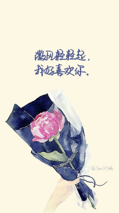 冉 个性名片 花束 花朵 壁纸 小清新 微风轻轻起，我好喜欢你