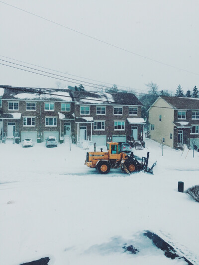 三月的加国大雪飞❄️