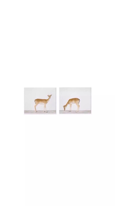 手机壁纸，锁屏壁纸，背景简约壁纸，小清新