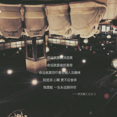 我愿能一生陪伴你