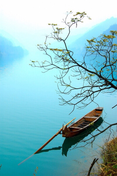 一江烟水照晴岚，
两岸人家接画檐