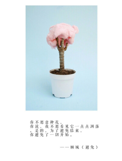 你不愿意种花，你避免了一切开始。——顾城