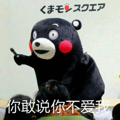 kumamon 