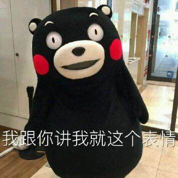 kumamon 