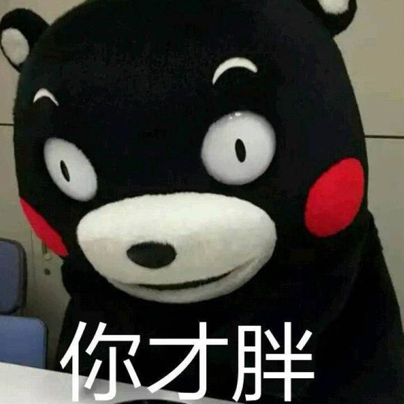 kumamon 