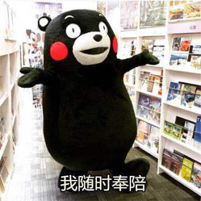 kumamon 