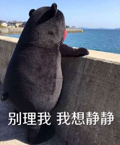 kumamon 