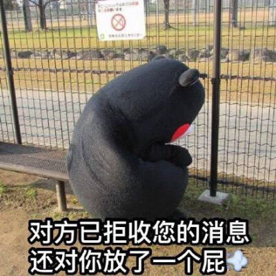 kumamon 