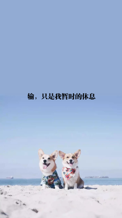 原创 自制 壁纸 背景 文字 禁止加水印修改