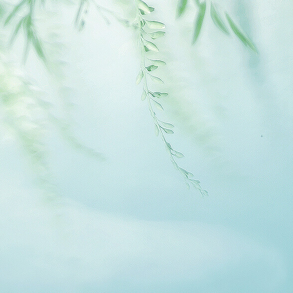 Green and blue.in a box, through the mail.