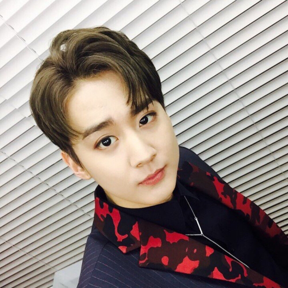 teen top 天地 chunji 李赞熙 lee chan hee