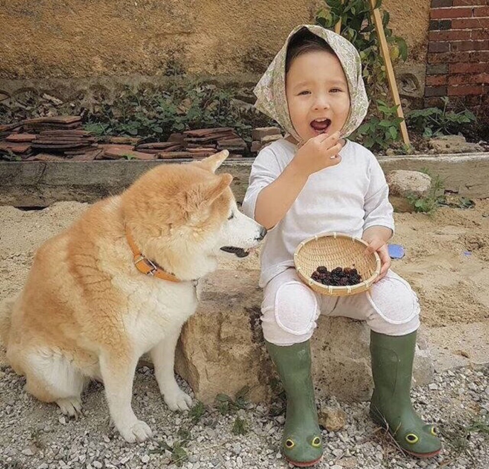 萌娃小女孩和狗狗的陪伴小孩子头像可爱