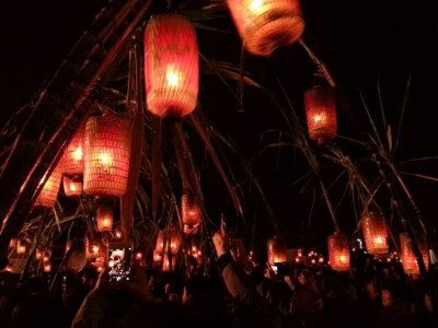 我曾看过雁字无痕
也曾听过花落无声
曾在某一日最寒冷
遇见过最炽烈的人
何其幸甚。