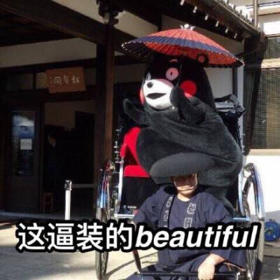 kumamon