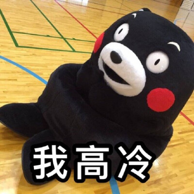 kumamon