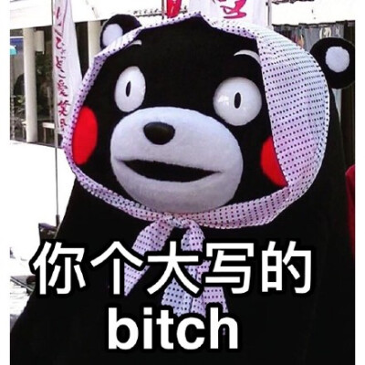 kumamon