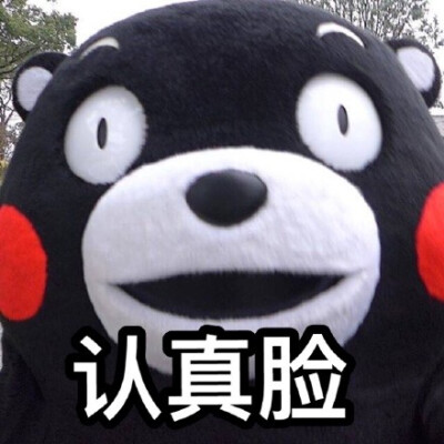 kumamon