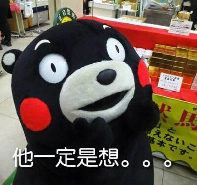 kumamon