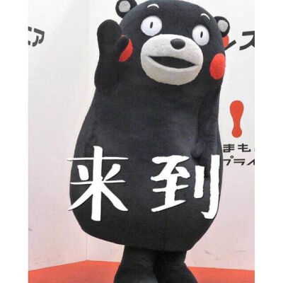 kumamon