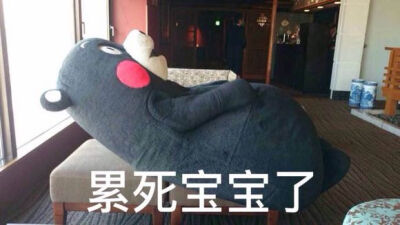 kumamon