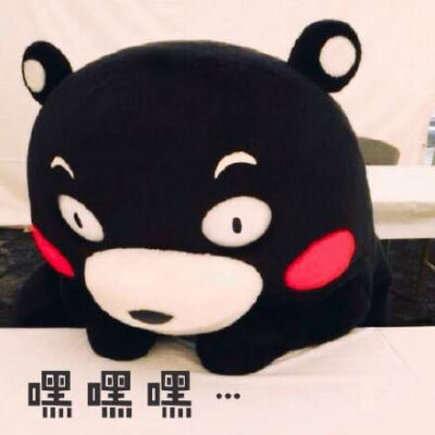 kumamon