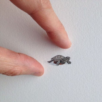 关于微缩手绘插画，以前分享过很多了，今天的这组尤为精彩。来自美国插画师Brooke Rothshank的创作，一起欣赏~