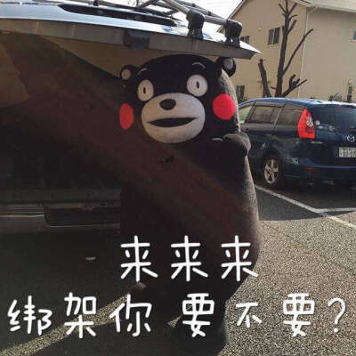 来来来 绑架你要不要？|ω•`)