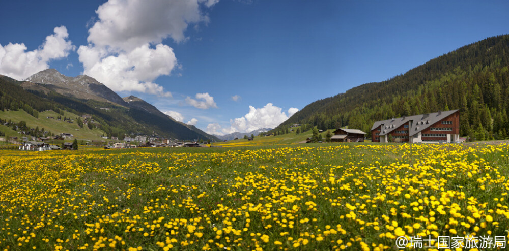 达沃斯(Davos)的空气真的与众不同吗？作为曾经肺结核患者们聚居的避风港，它清冽的高山空气彻底治愈了很多人，其实治疗方法就是：数小时躺在室外的太阳椅上、呼吸清新的空气、饮用大量牛奶外加更有营养的饮食。来到达沃斯的各位，也请尽量在室外活动，体力有限就打个达沃斯的出租车-马车，走马观花。