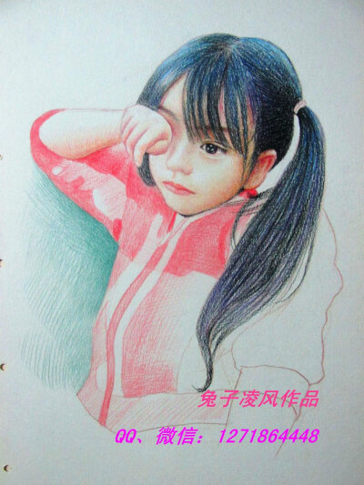 兔子凌风陶启全彩铅画作品